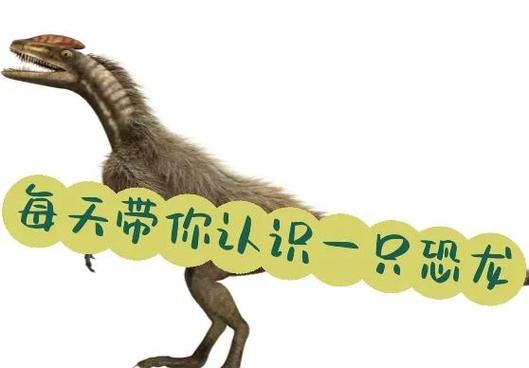 梦见恐龙追赶自己心理学解析_梦见大象追我_梦见恐龙象征母亲