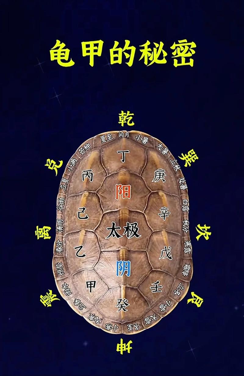 伏羲八卦图_易经占卜的准确性_易经发展历程