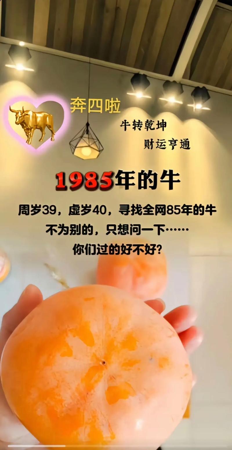 1985年属牛人命运分析_1946年属什么生肖五行_1985年木牛人性格特点