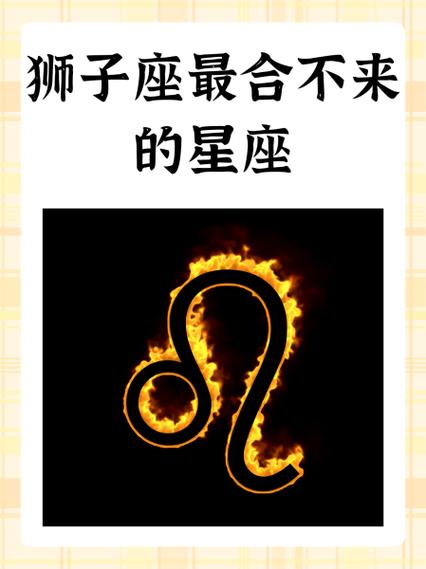 狮子座最合拍的星座_狮子座后面是什么星座_狮子座最佳伴侣星座