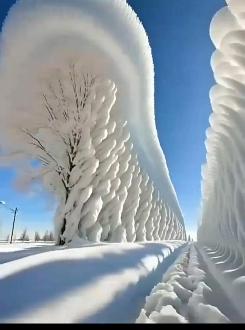 令人神往:梦见地上厚厚的白雪