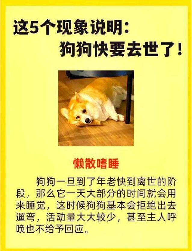 意外:1月15至18日，属狗人迎来天意！这3天的信号，接住了就是翻身