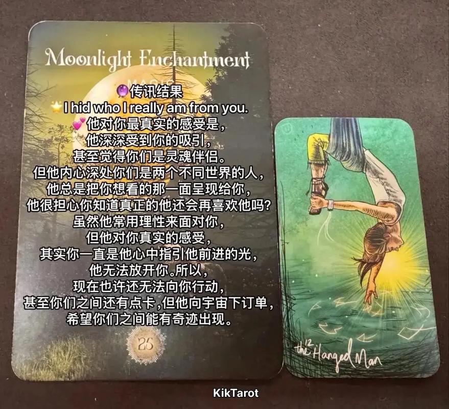 魔兽世界塔罗牌掉落_魔兽世界暗月马戏团塔罗牌_暗月岛塞格塔罗牌