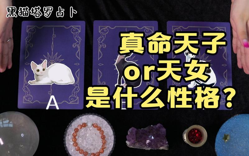 塔罗占卜未来伴侣外貌特征_塔罗占卜未来老公长相_塔罗牌测试真命解读