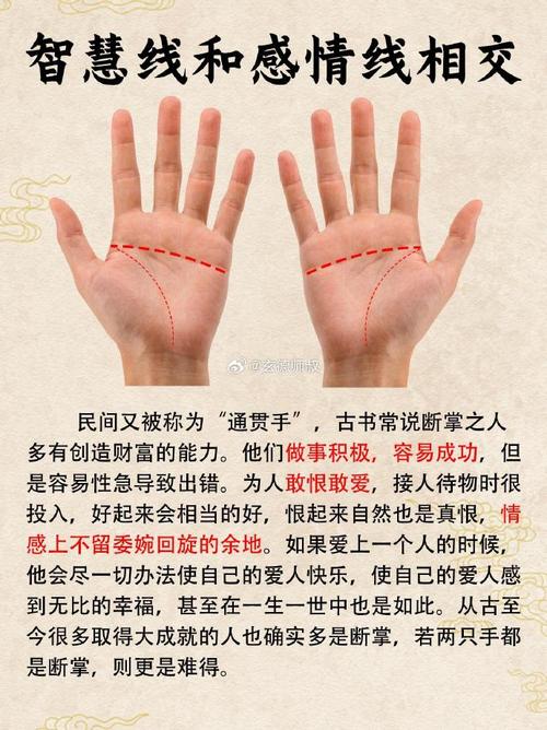 测算财运_断掌手相 财运分析 手相学断掌解读