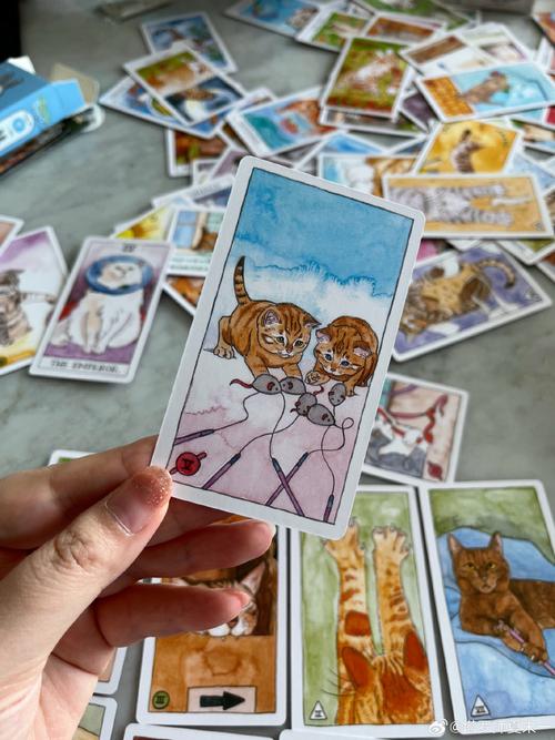 猫塔罗牌解读_爱情运势分析_塔罗牌在线抽牌