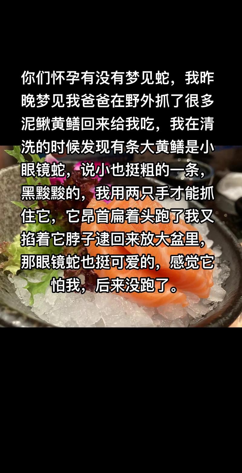 孕妇梦见泥鳅是什么意思_梦见抓了好多泥鳅_孕妇梦见泥鳅预示什么
