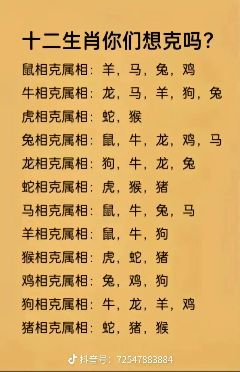 很不错:蛇适合找什么属相,蛇与十二生肖婚配