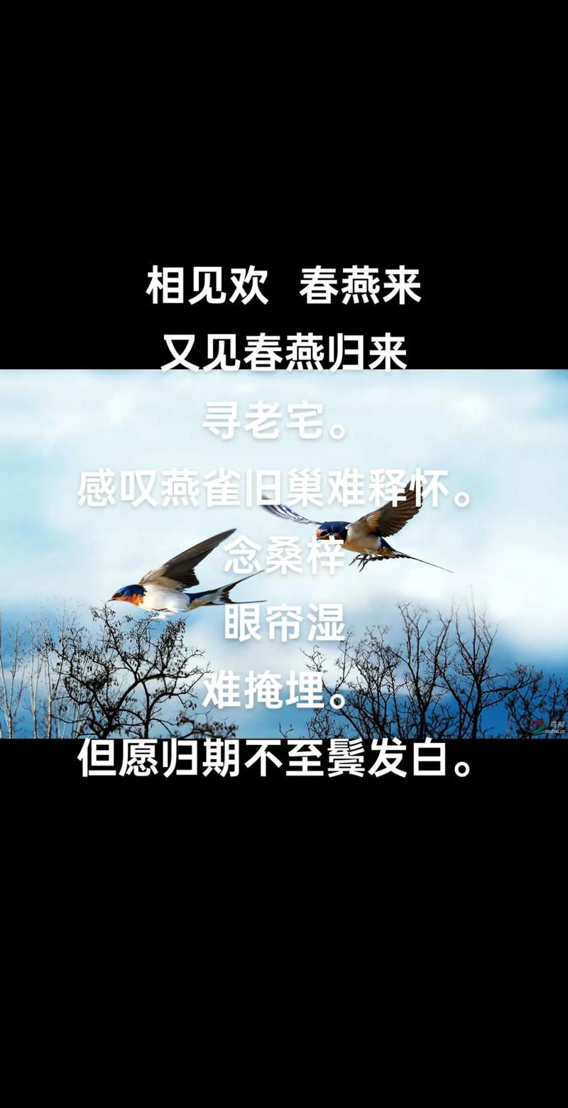 塔罗牌测试旧爱_爱情塔罗测试_塔罗预测感情复合