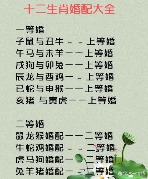 大盘点:十二生肖婚配大揭秘：最佳组合与应避属相全攻略