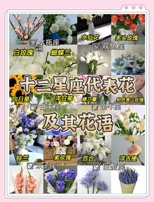 星座花语详解_十二星座代表花大全_12星座代表什么性格