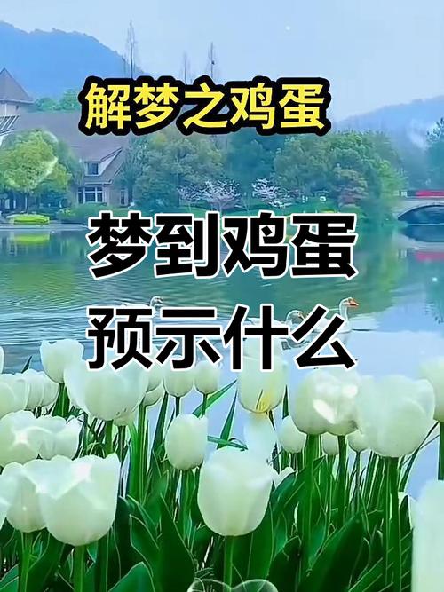 这是真的:做梦梦见鸡蛋