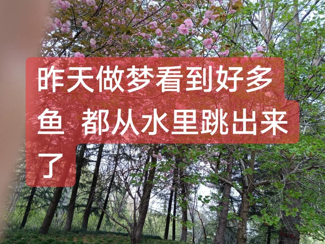 厉害:梦见鱼塘水干了好多鱼是什么意思