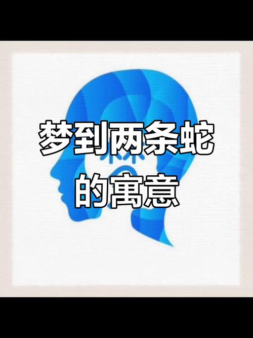 很神奇:梦见蛇两条不一样的