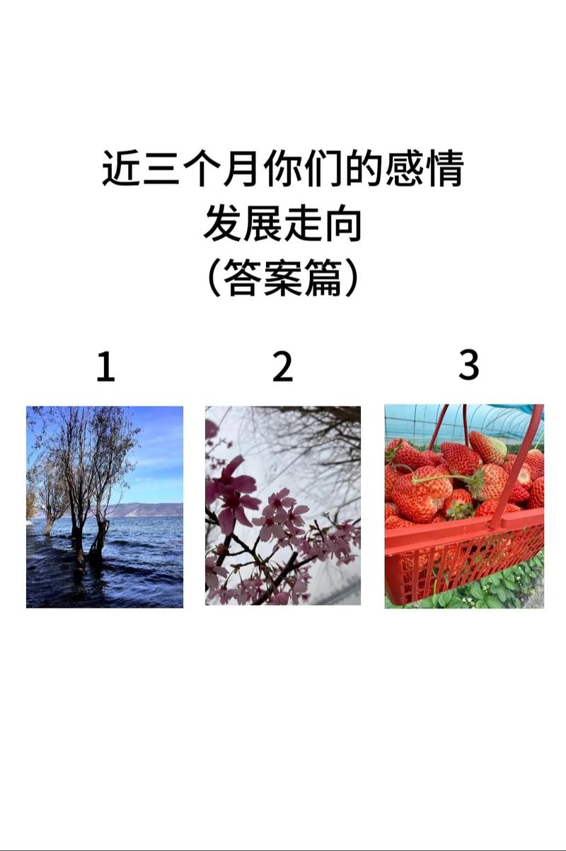 近期公布:塔罗测试：近期，你的感情会如何发展？