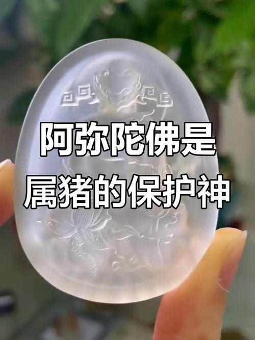 盘点:生肖猪守护