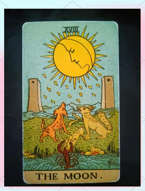 宝典:第1塔罗网塔罗牌月亮部分(塔罗牌在线占卜)