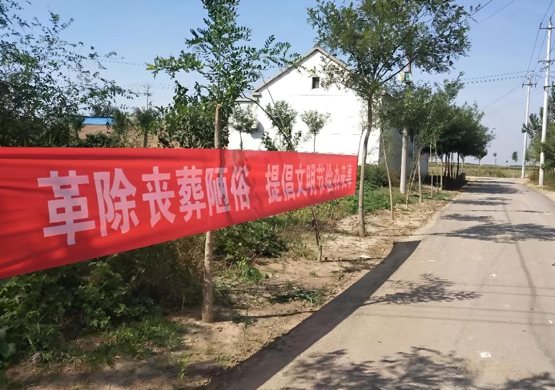 事实:2026年3月起殡葬新规落地！网友吐槽：清明对着庄稼地磕头？