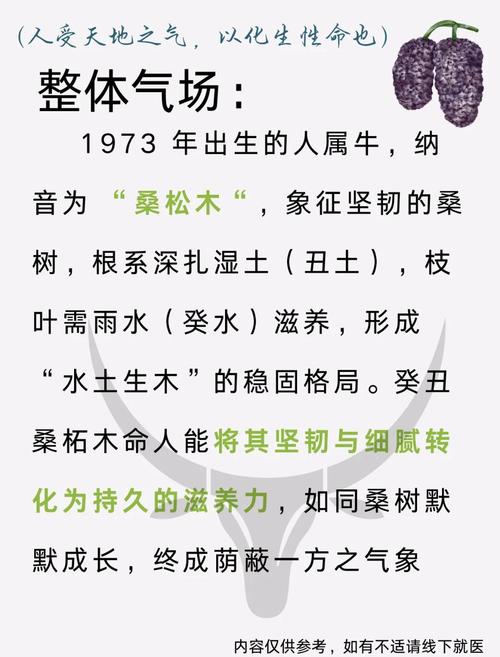强悍:一九七三年出生属牛，五行属性“木牛命”，纳音“桑柘木”你呢？