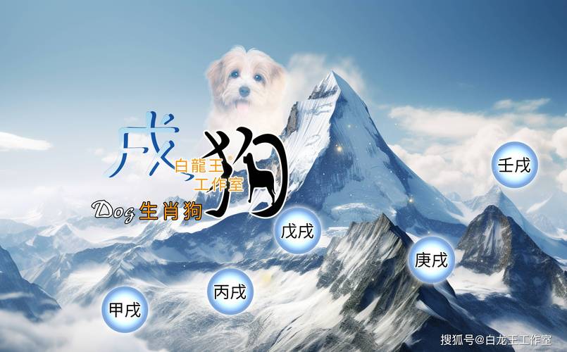 属狗人2026年运势_属狗12生肖运程2026年_属狗人2026年运势分析