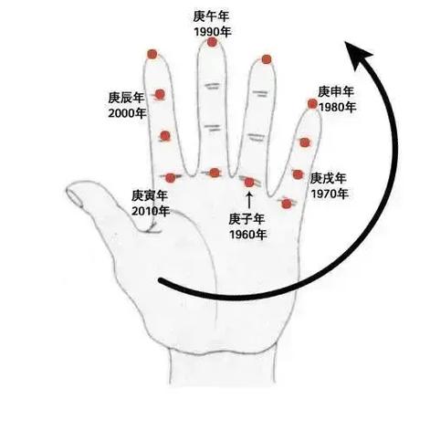 通过手指计算年龄属相_属相生肖配对姻缘查询_快速记忆手指属相位置