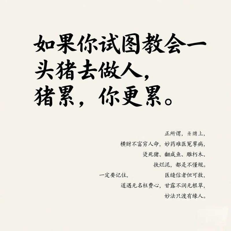 属猪注意事项_属猪运势_生肖属猪的守护神