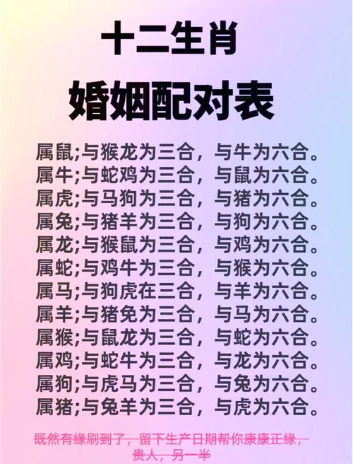 十二生肖最佳姻缘配对_生肖配对十二生肖属相婚姻配对_十二生肖姻缘配对分析
