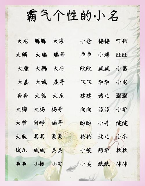 精选好听又响亮的名字_小孩起名男孩_男孩顺口响亮小名大全