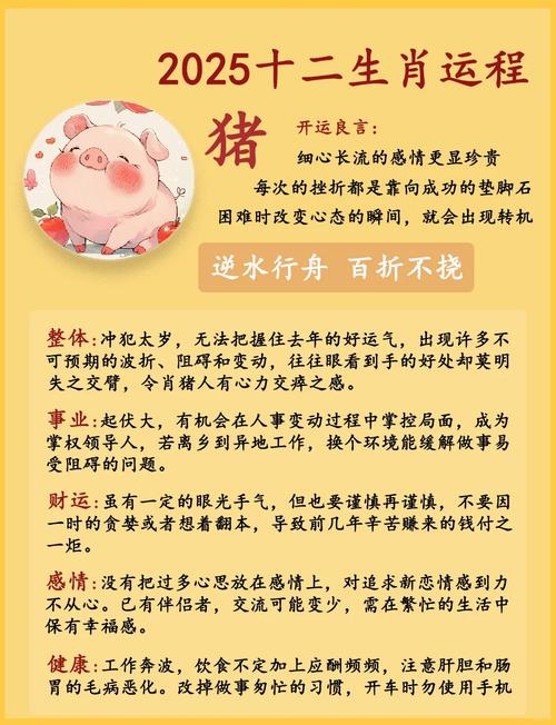 生肖属猪 五行属什么_1959年属猪人命运_属猪不同年份命运分析