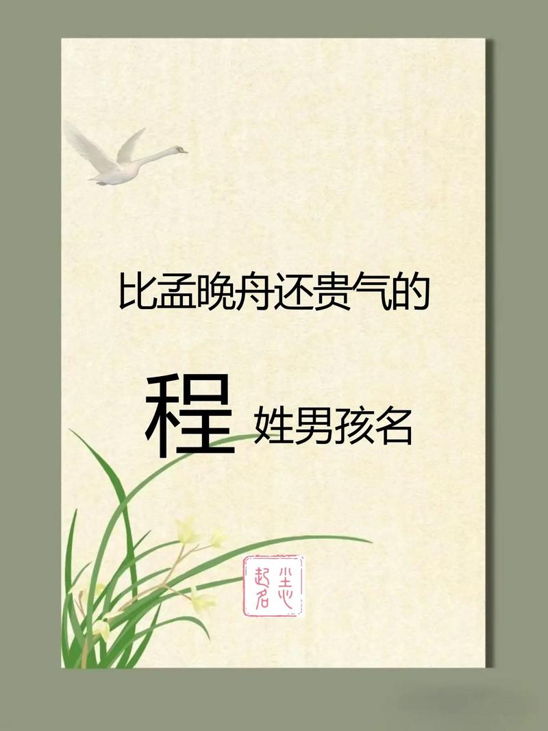 程姓 男孩起名搞笑_程姓男宝宝好听名字带解释_程姓男孩独特起名推荐