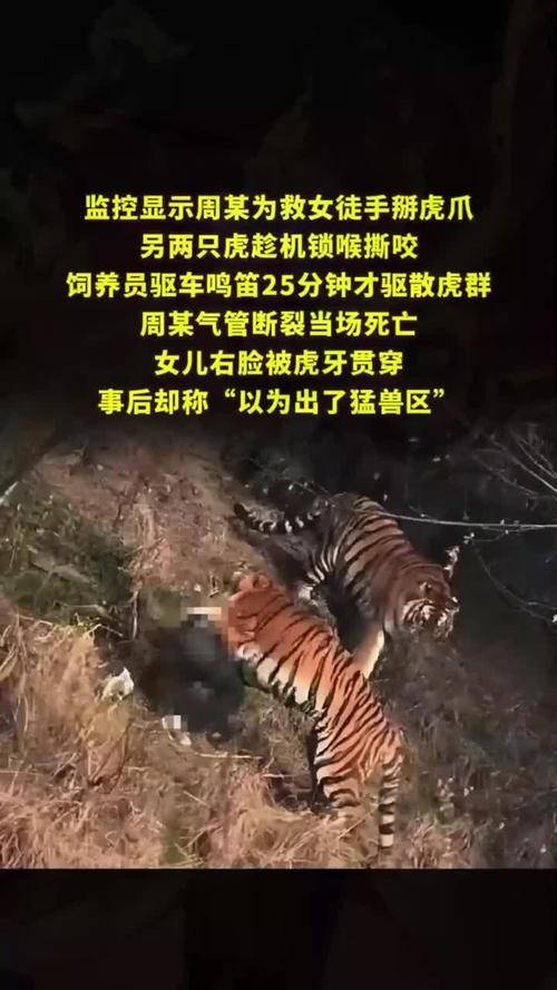 梦见老虎进屋咬人_梦见打老虎 枪坏了_家庭关系不和事业猜疑