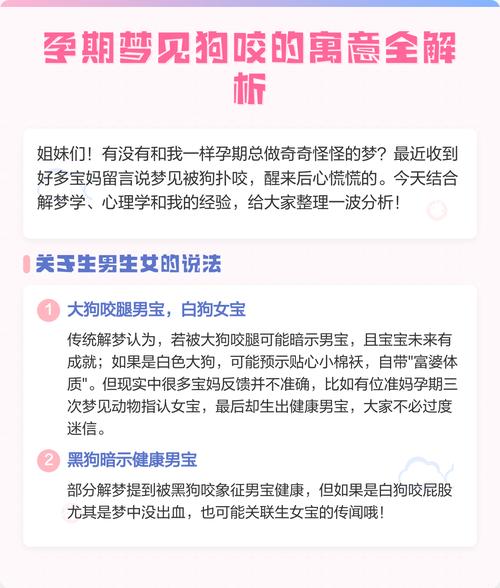 孕妇梦到狗生双胞胎预兆_孕妇梦到狗预示健康宝宝_怀孕梦见黑狗和白狗