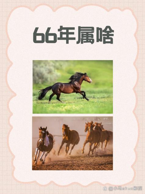 2026年属什么生肖属相_马年干支历计算方法_干支历马年