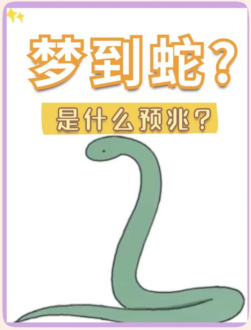 梦见蛇挡路解释_梦见蛇挡路周公解梦_梦见爬到很陡的山顶