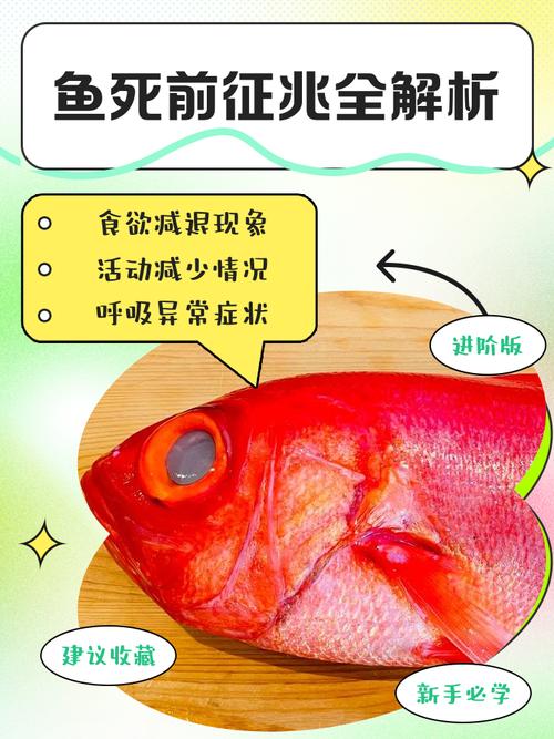 梦见吃鱼吐刺的解释_梦见吃鱼吐鱼刺的吉凶_梦见吃鱼吐刺周公解梦