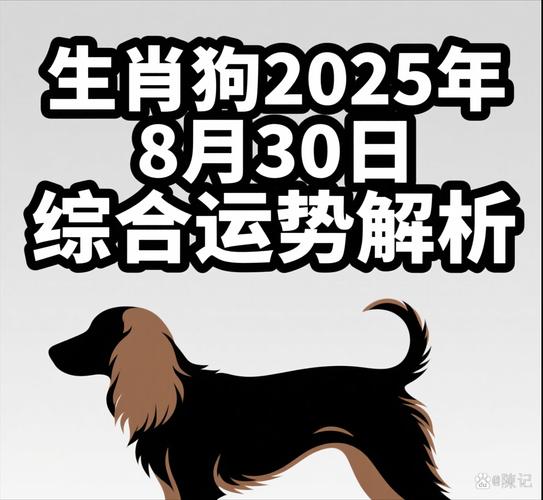 属狗羊年运势_属狗羊年运势分析_偏财运测算