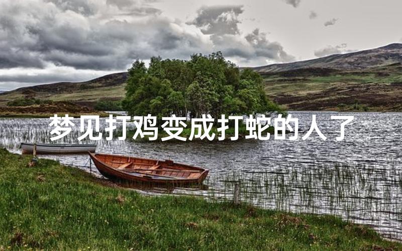 梦见有人把蛇咬死了_周公解梦梦见蛇把鸡咬死了_梦见蛇把鸡咬死了