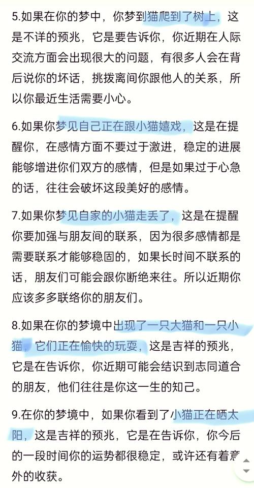 梦见猫追咬情绪困扰人际关系_梦见被猫追预兆贵人运势_梦见被猫追杀