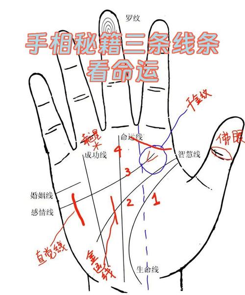 真假凤尾纹手相预兆_手指螺纹图解0-10螺含义_命运财运的测算