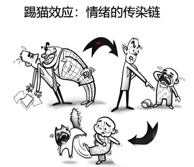 被小猫追杀的梦境解析_梦见被猫追杀_梦见小猫的吉凶预兆