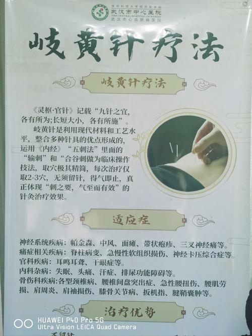 百度洗头吉日_二月二龙抬头习俗养生_洗头剪头顺天时尊地理