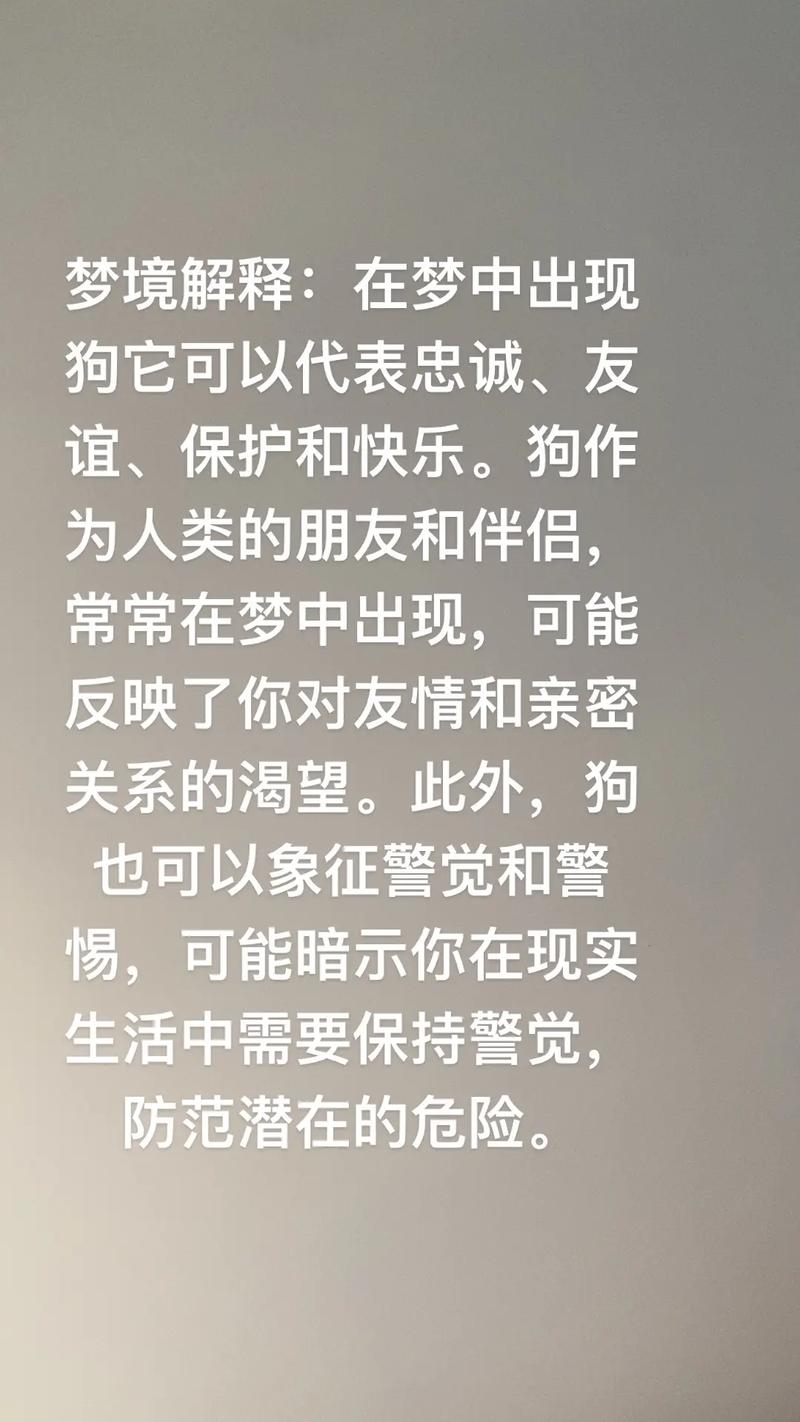 金水两旺事业通达_梦见很多小狗_梦见可爱的小狗狗