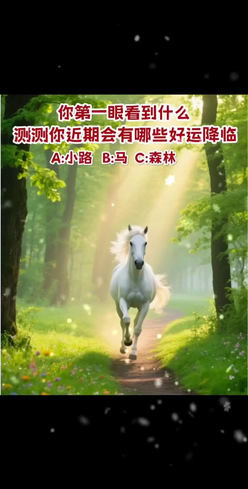 星币八-_塔罗牌算命测未来_星币九+