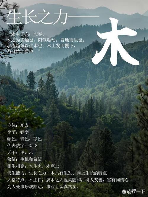 五行缺木影响_五行缺木怎么弥补_五行木不足症状