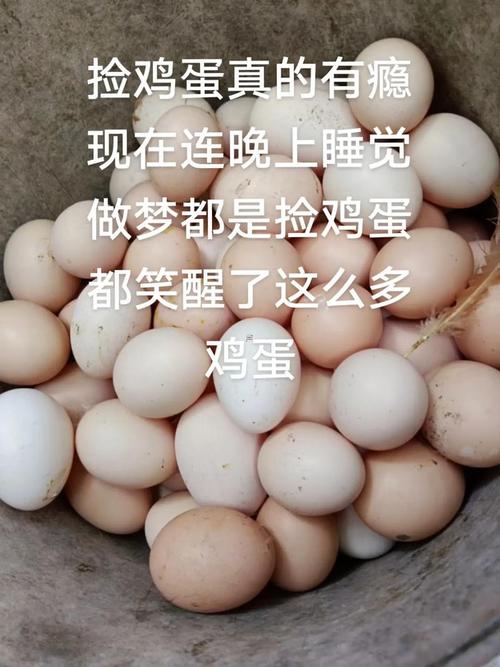 事业财运纠葛_梦见捡好多鸡蛋_梦见看见鸡蛋什么意思