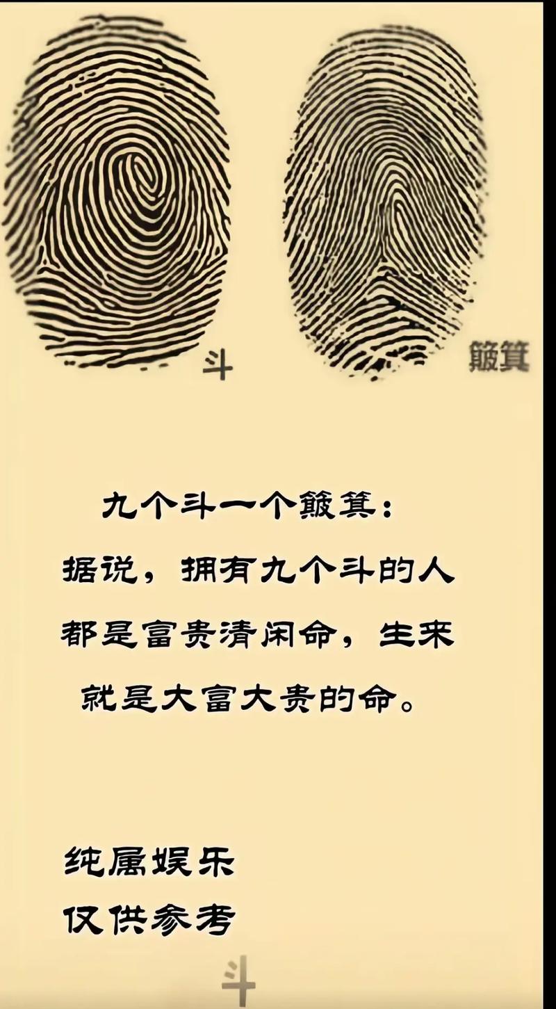八字测算今日偏财运_指纹与财运关系_斗簸箕民间说法科学解释