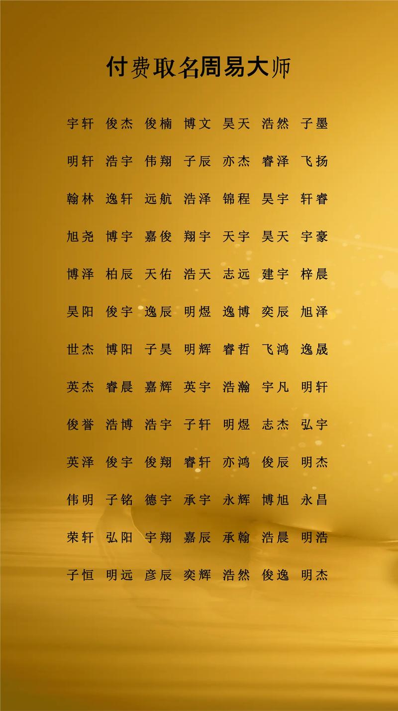 起名软件安卓破解版_周易起名软件_起名大全掌中宝