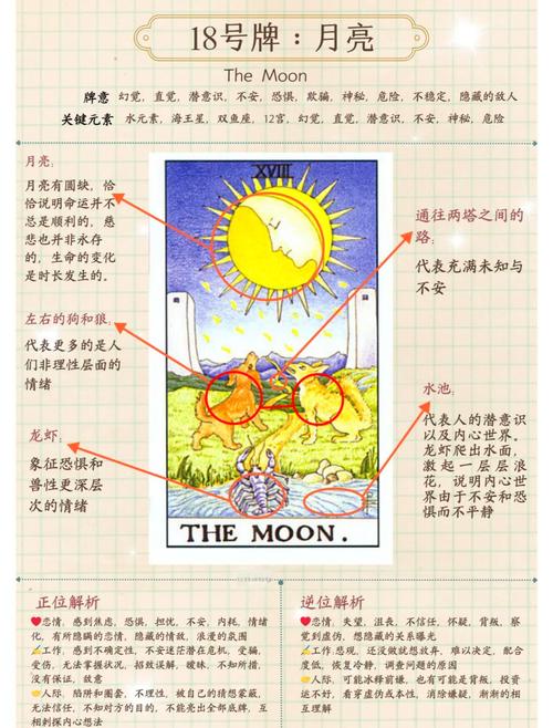 塔罗牌月亮解析_塔罗牌月亮象征意义_1518塔罗牌占卜