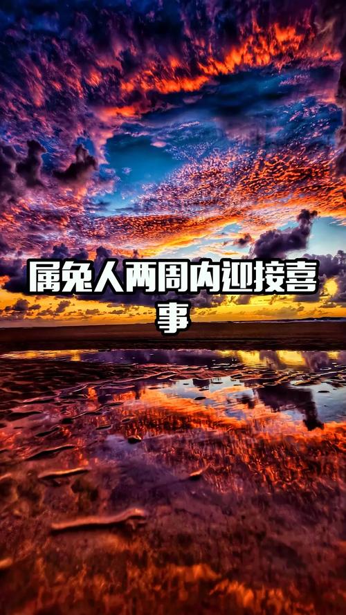 2026命运测试 八字算命_属兔运势分析_2026年属兔好运到账