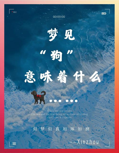 梦见狗变成人的解释_梦见狗变成人_做梦梦见狗好不好